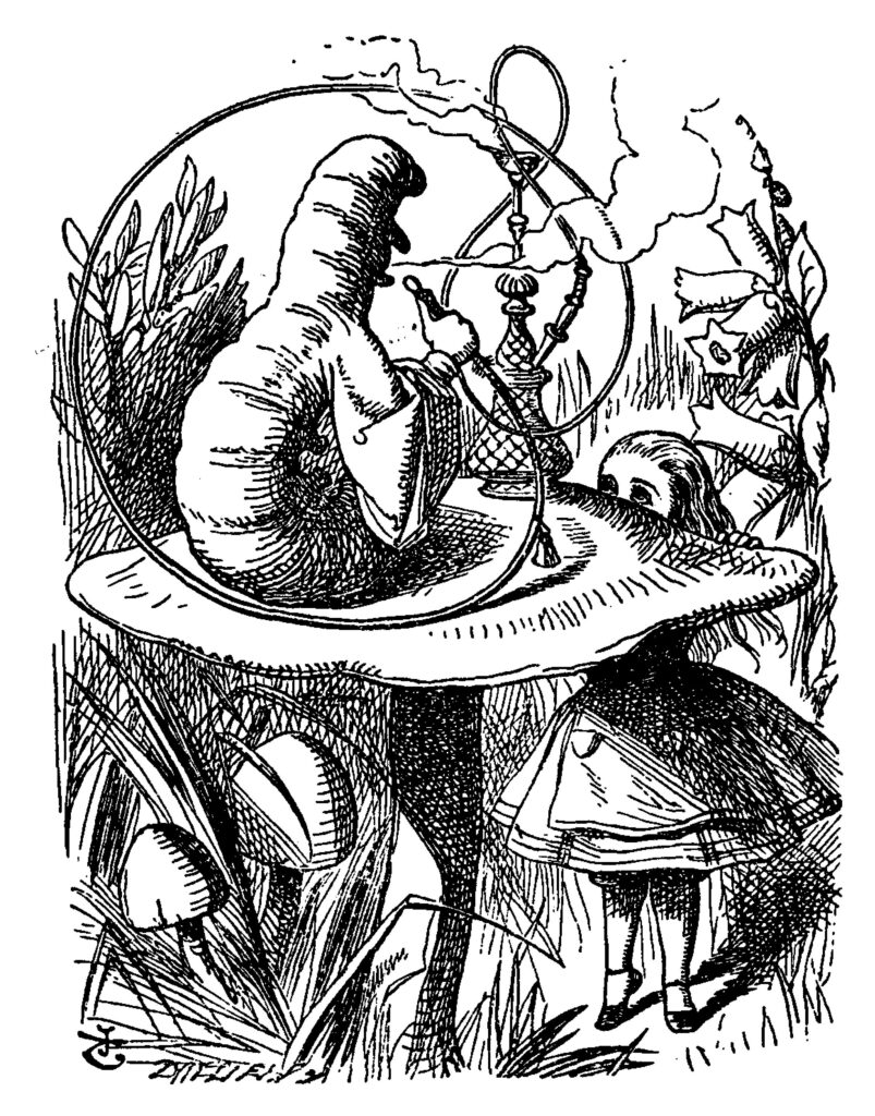 “Are you content now?” said the Caterpillar. (Image: Lewis Carrol, Alice’s Adventures in Wonderland. Illustration by John Tenniel in the 1865 edition.)